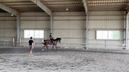 本日は、神奈川県　綾瀬乗馬クラブさまに、出張レッスンに行って