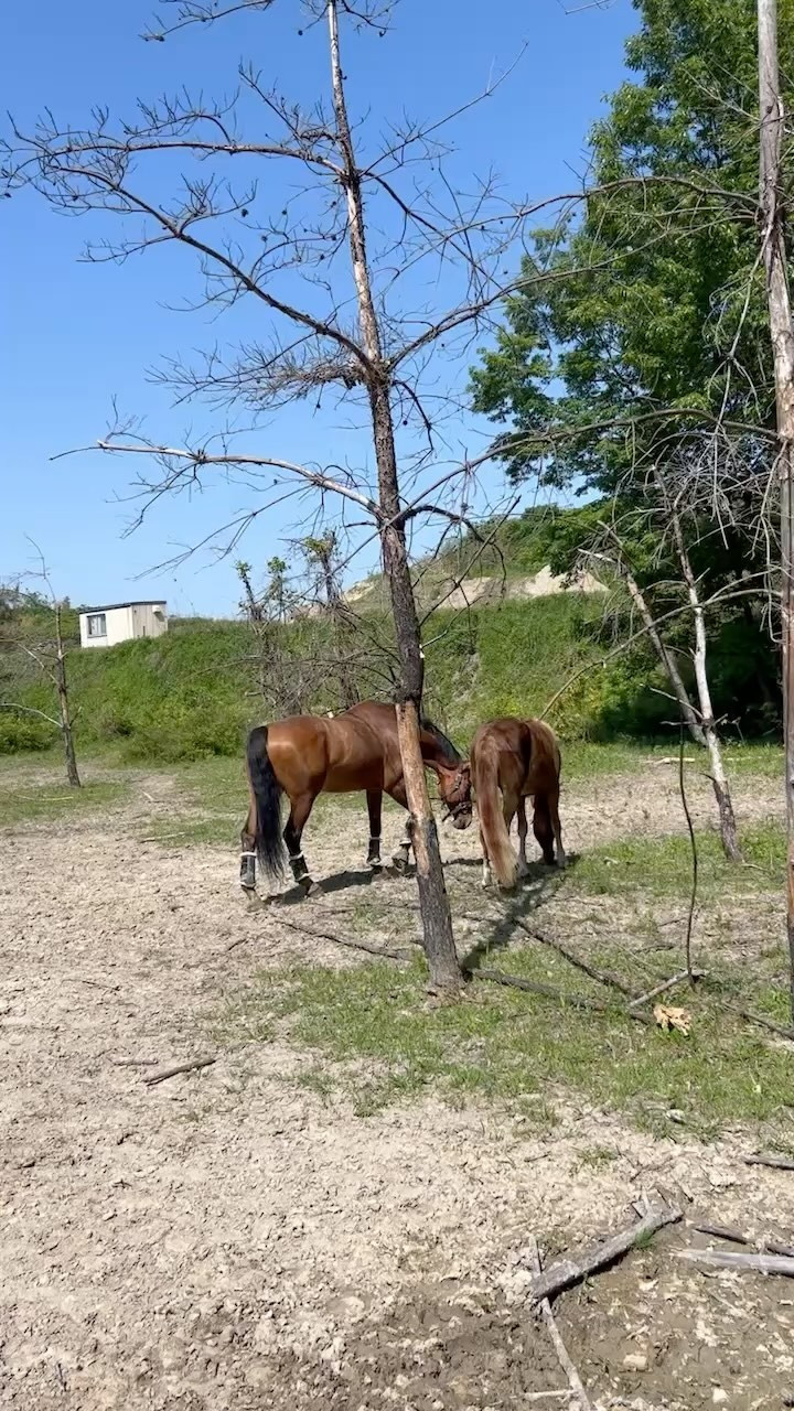 おはようございます