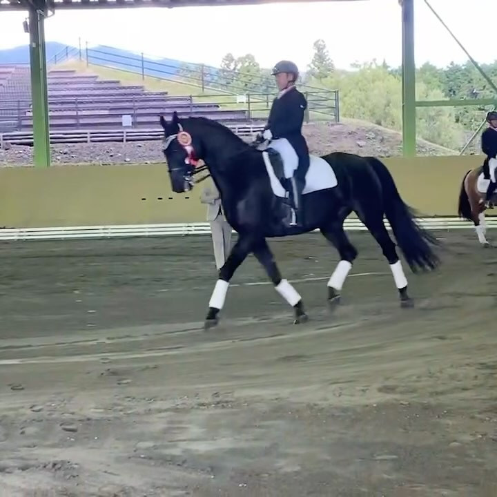 東京馬術大会　競技結果