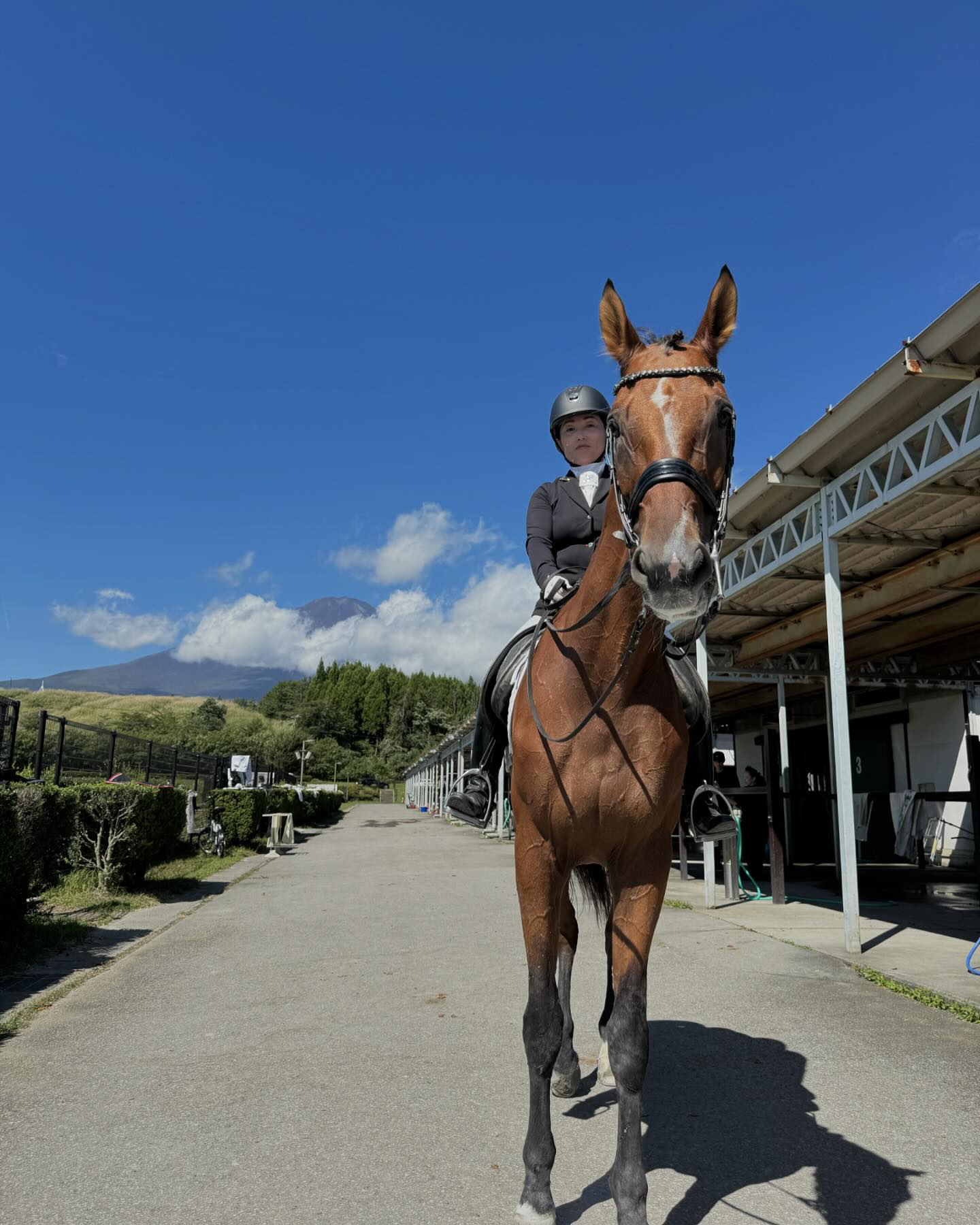 御殿場馬場馬術競技会に参加しています！