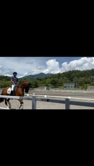 ESJサマードレッサージュ競技会のため、小淵沢にきています！